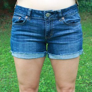 American Eagle Stretch Denim Shorts